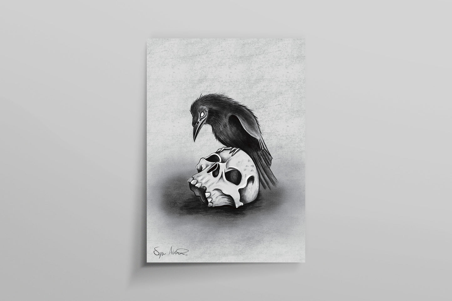 Skull & Raven Sketch